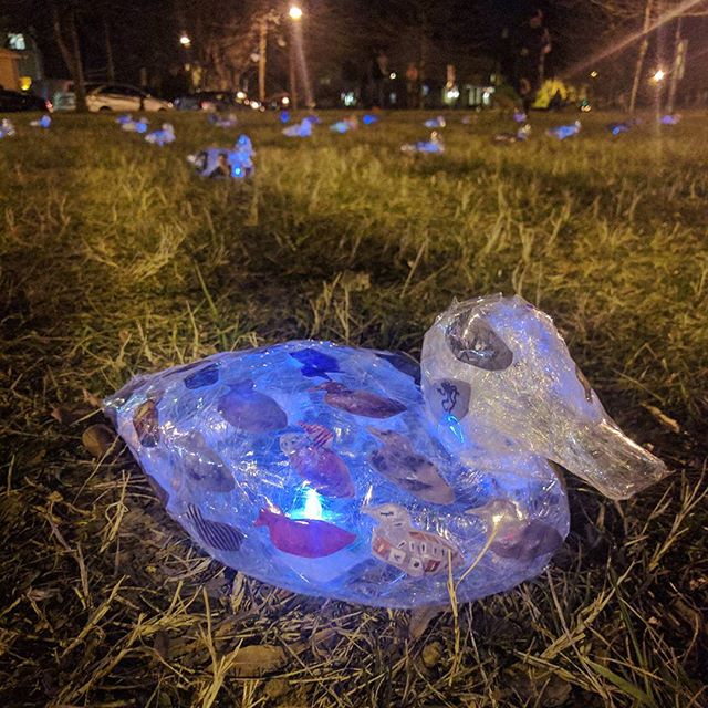 (Photo credit: Instagram user albinoflea)