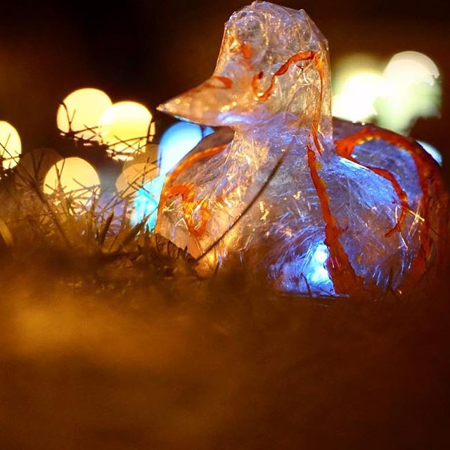 (Photo credit: Instagram user llkoolwhip)