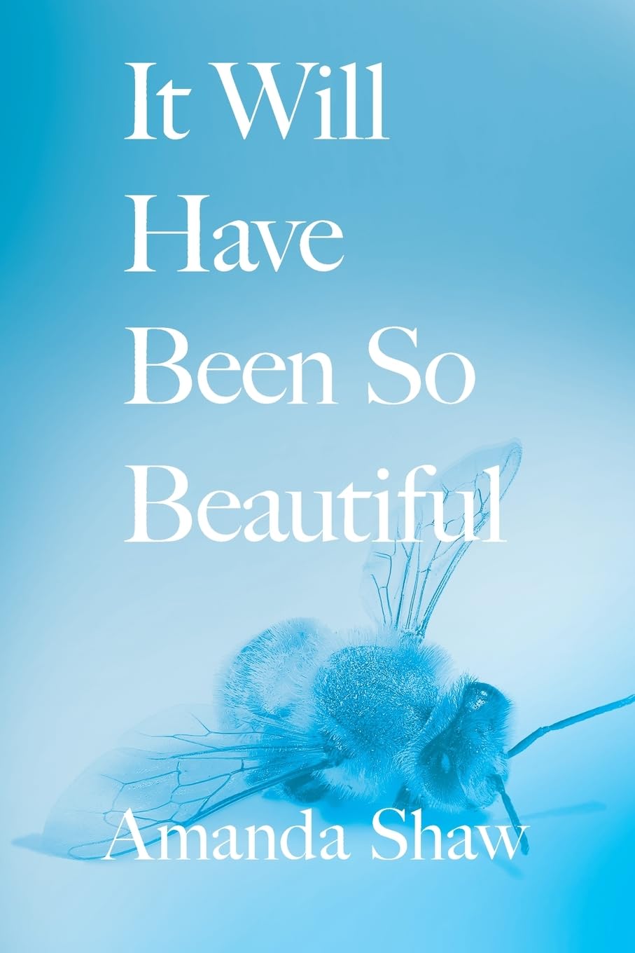 Shaw – It Will Have Been So Beautiful