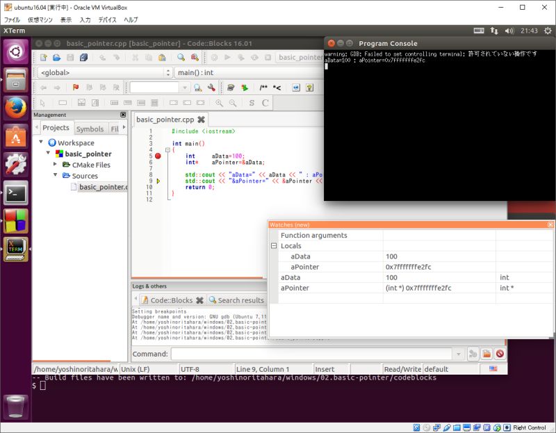 11b Codeblocks Build Run Theolizer - Premium Gradient Background Gallery - Retina
