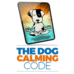 The Missing Link: Why You’re Struggling to Train Your Pup and How a ...