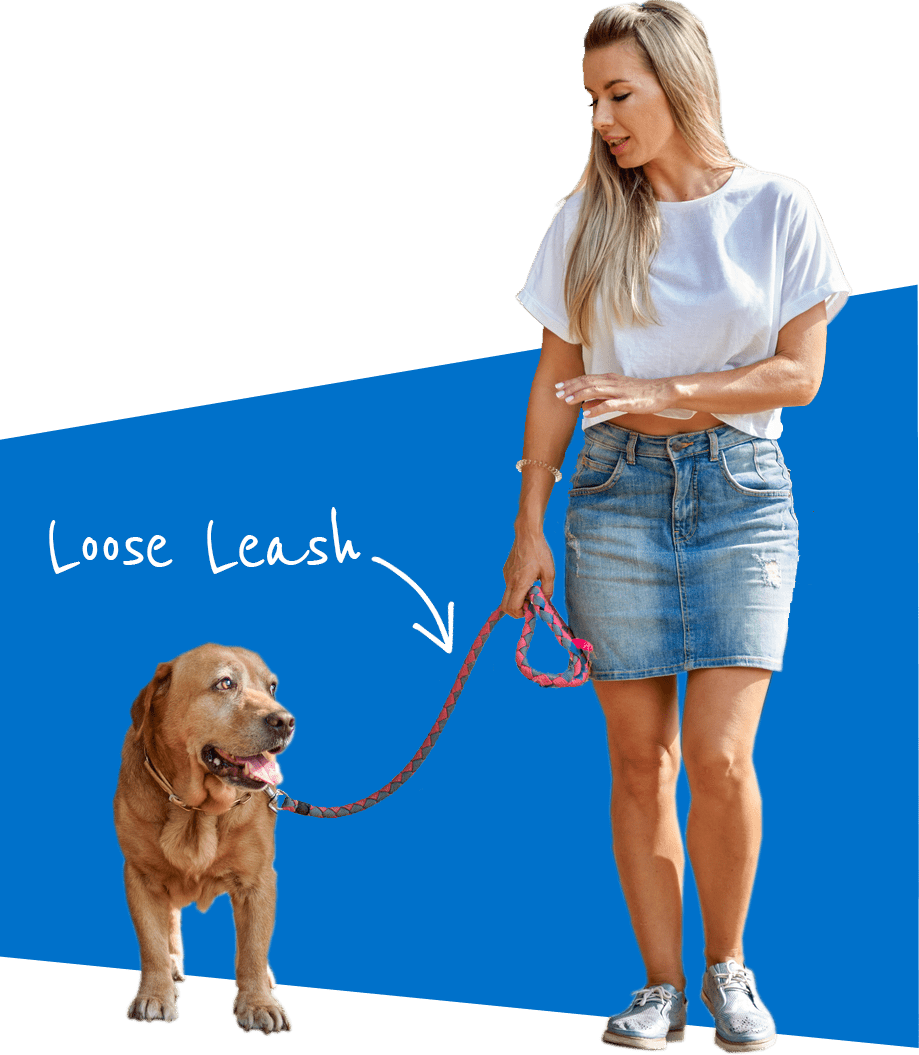 The Online Dog Trainer from Doggy Dan