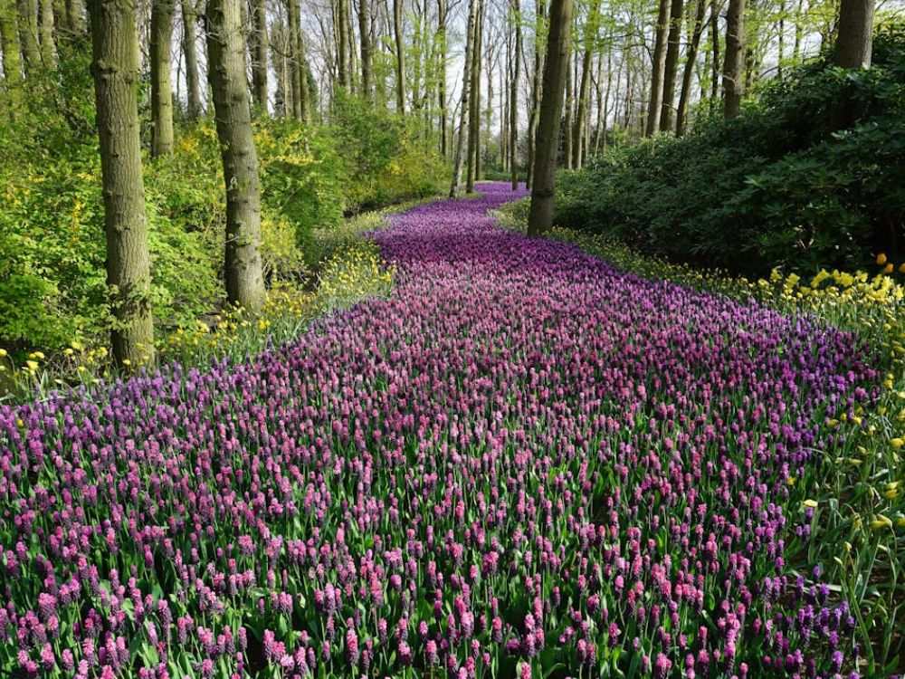 4 trendy snack bar ideas you can diy today