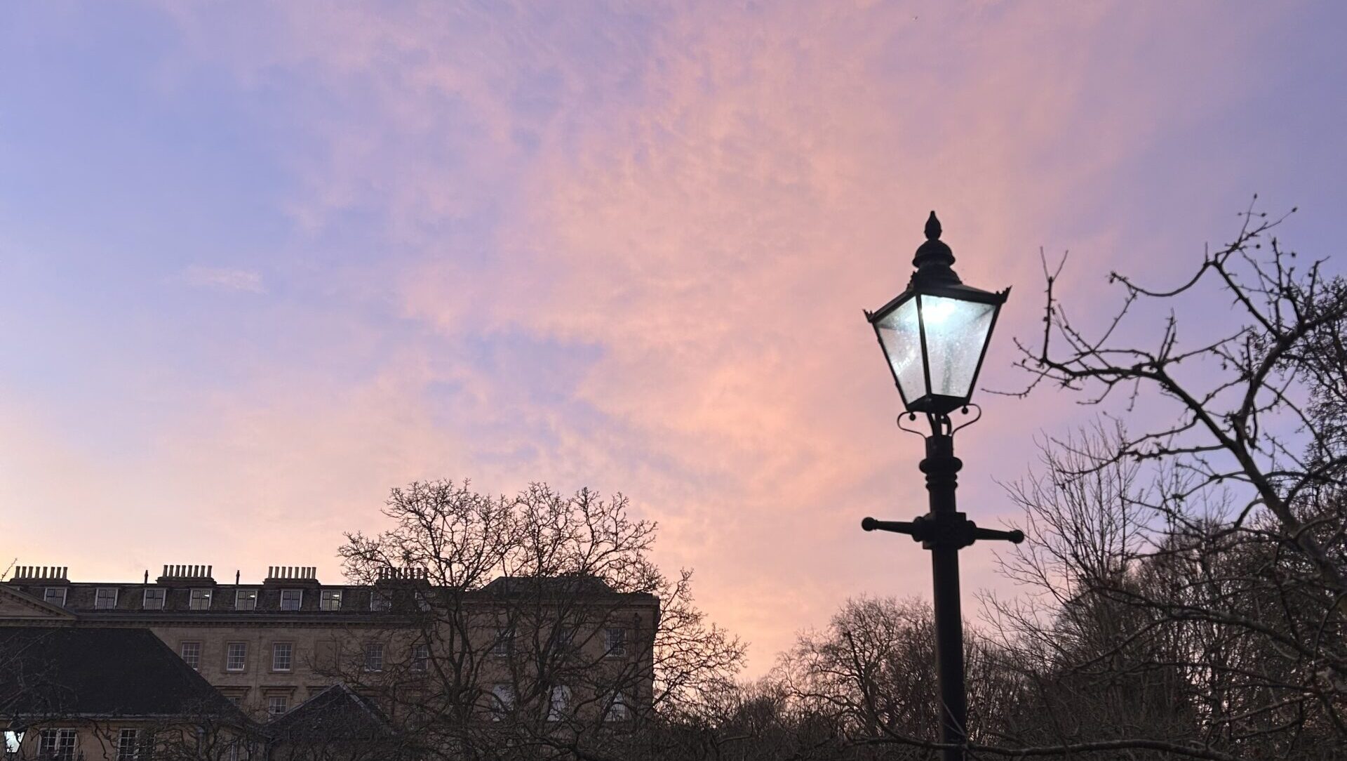 A picture of a lamppost in an orchard with a pink and purple sky background at sunrise.