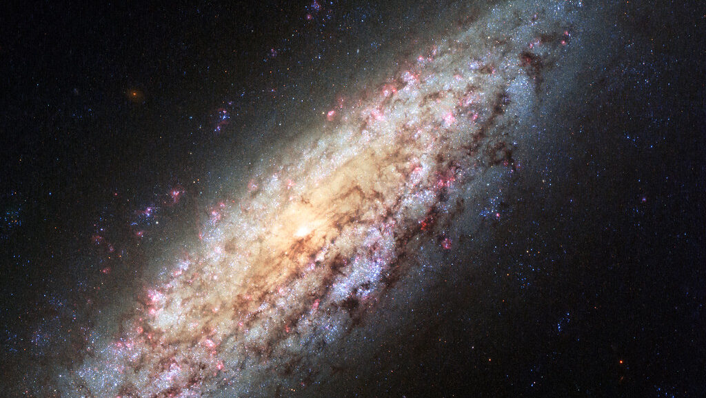 Lonely Galaxy Lost in Space