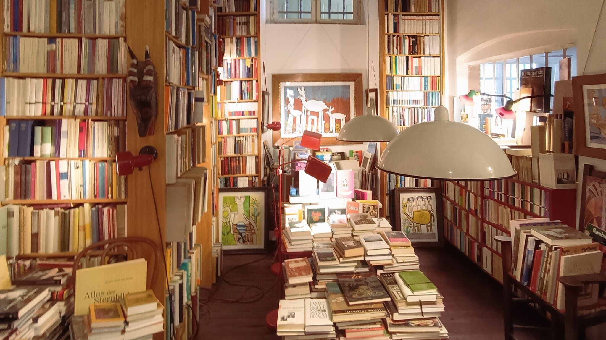 An aesthetic bookshop, filled with books and art.