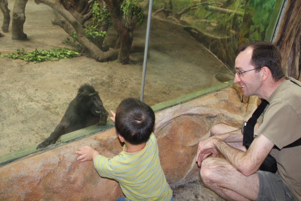 bonobo