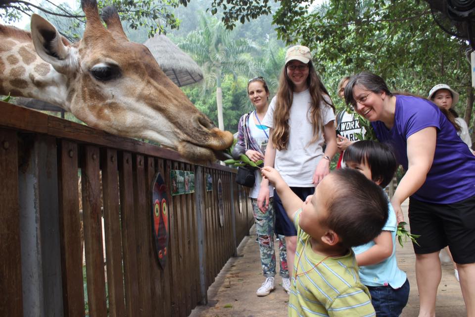 feeding giraffe2