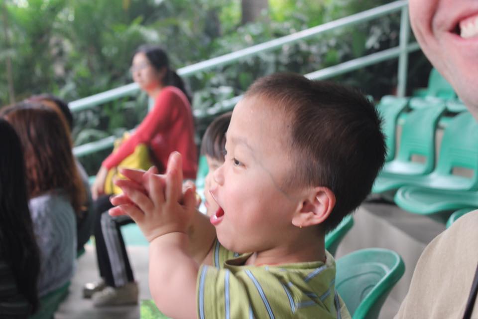 JX watching monkey show