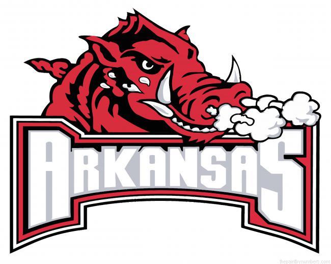 Arkansas Razorbacks Logo Paint By Numbers