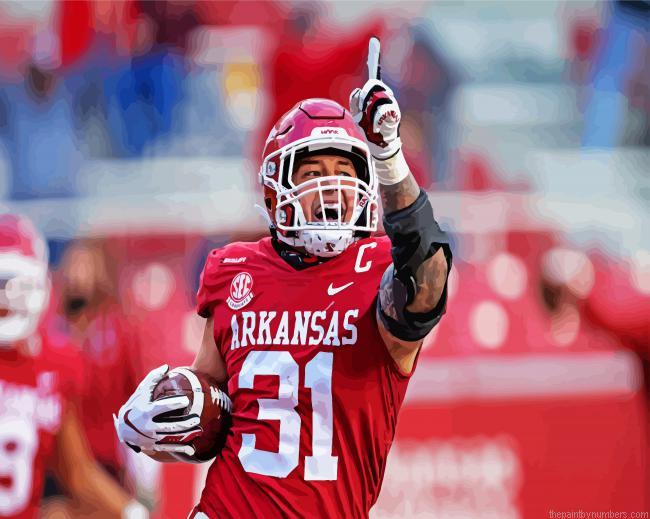 Arkansas Razorbacks Paint By Numbers