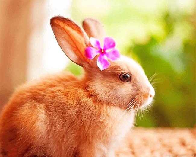 Beautiful Rabbit NEW Paint By Numbers