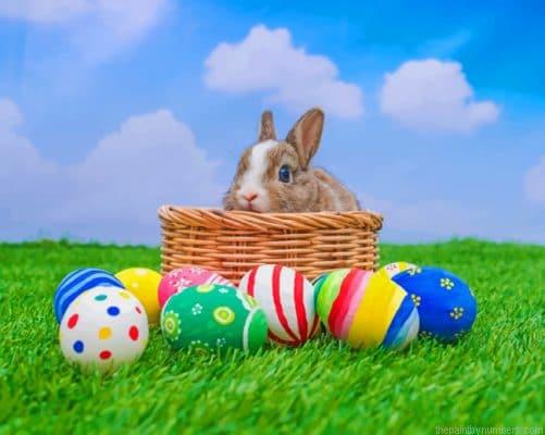 Easter Rabbit Paint By Numbers
