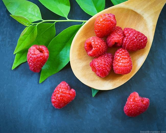 Tasty Raspberry NEW Paint By Numbers