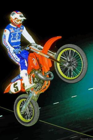 The Racer Ricky Johnson Paint By Numbers.jpeg
