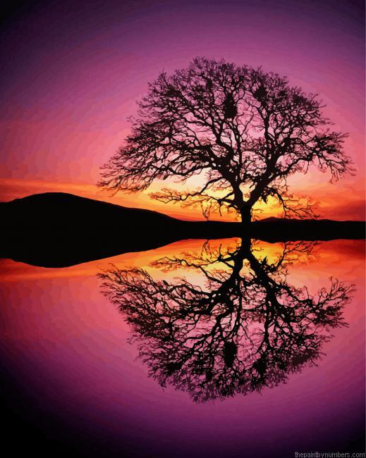 Tree Reflection In Water NEW Paint By Numbers