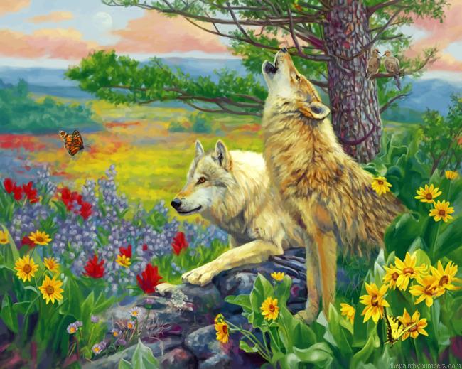 Wolves In The Spring Paint By Numbers
