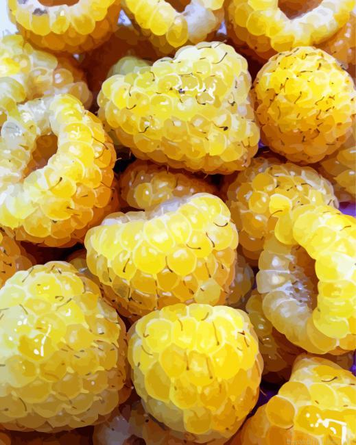 Yellow Raspberry Paint By Numbers