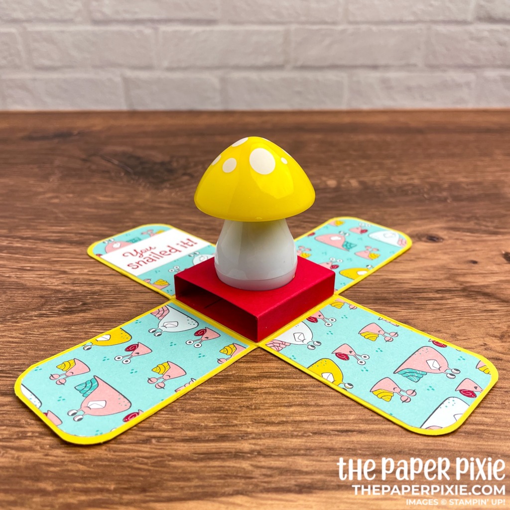 This is a handmade Explosion Box made with the Snail Mail Stampin' Up! product suite and the sentiment says you snailed it.