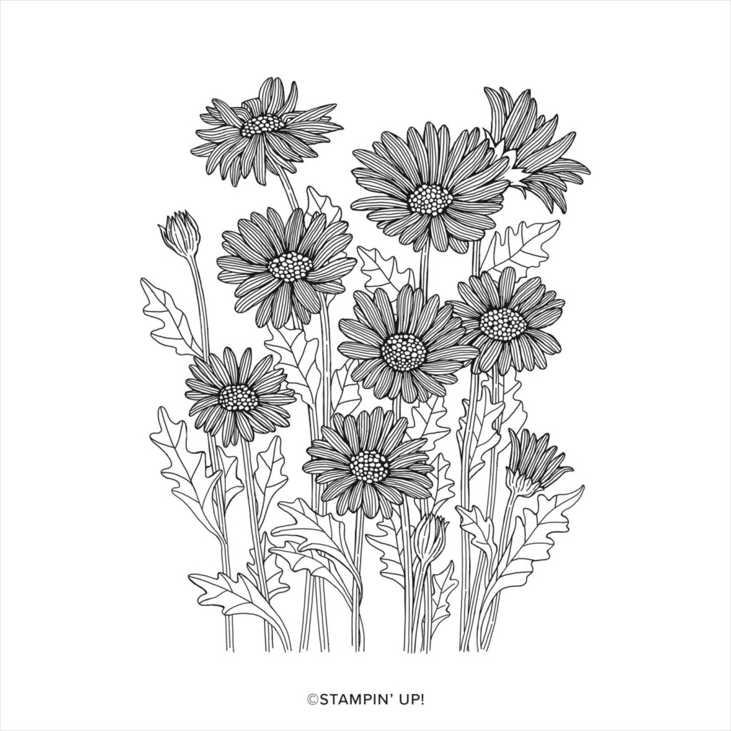 Daisy Garden Cling Stamp Set The Paper Pixie