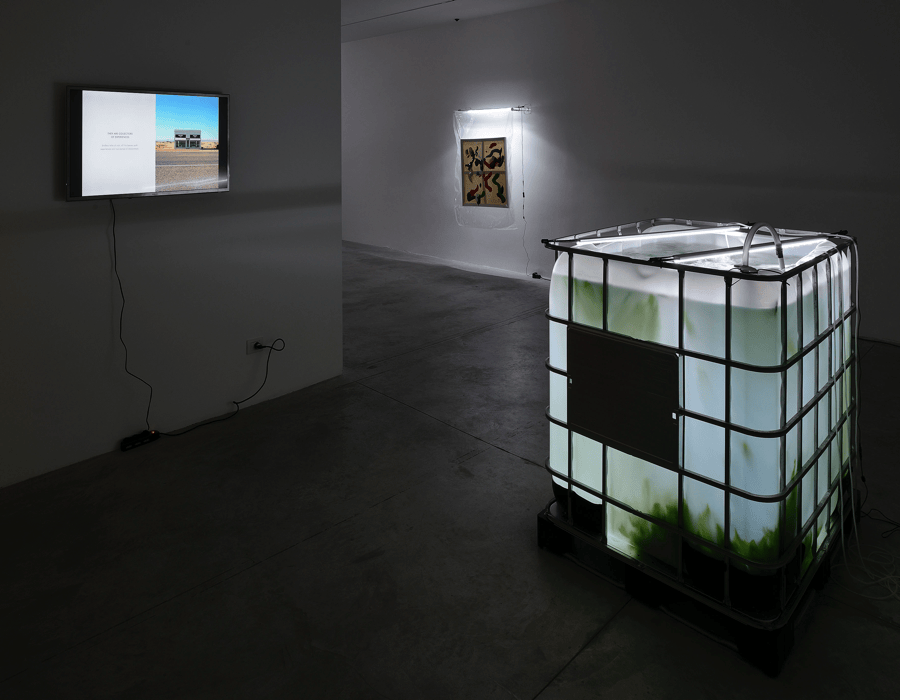 Dan Rees. Road Back To Relevance. Installation view, Nomas Foundation, Roma (Foto: Roberto Apa)