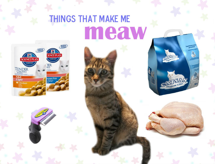 Things that make me meaw