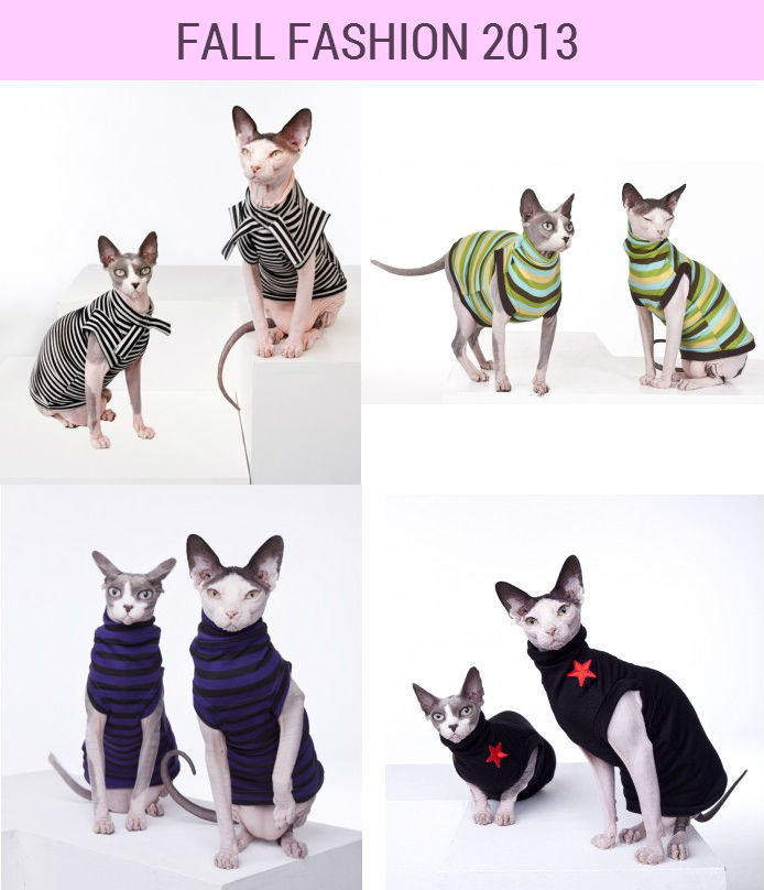 spynx fashion