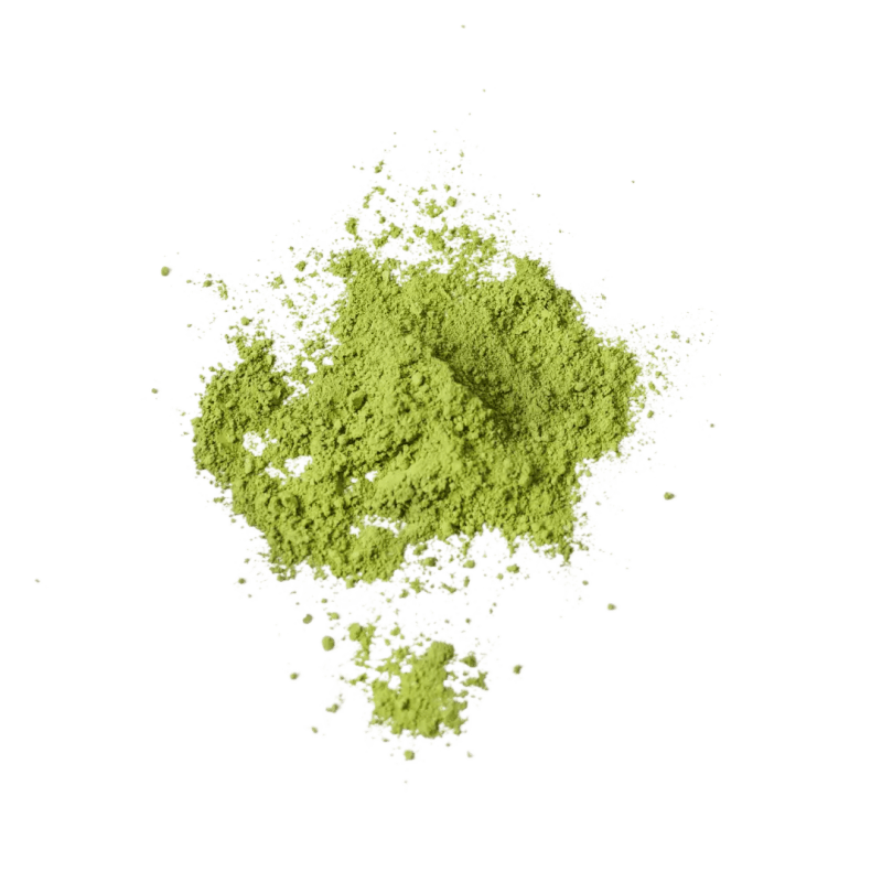 The Proof The Patch Brand - Colorful Art Collection - 8K Quality