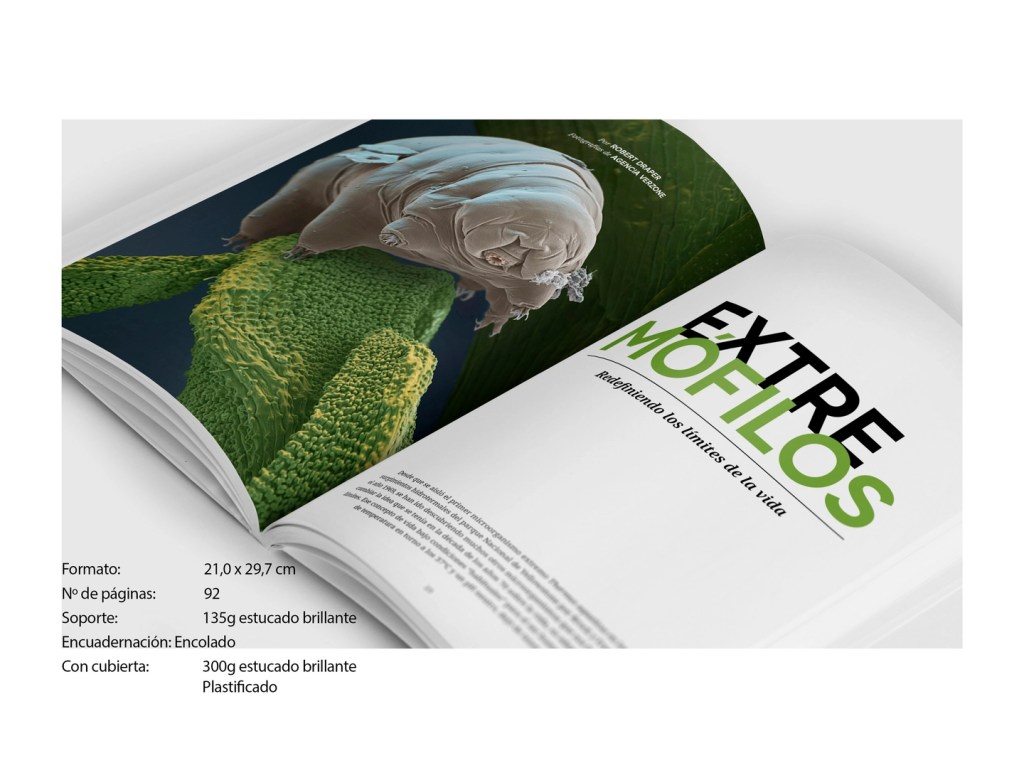 Revista Micros editorial