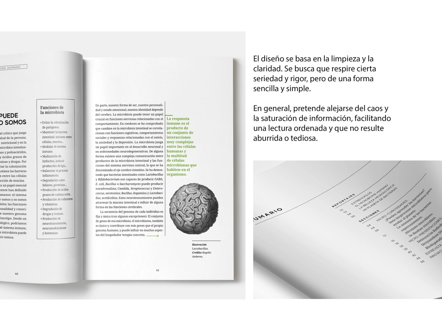 Revista Micros editorial