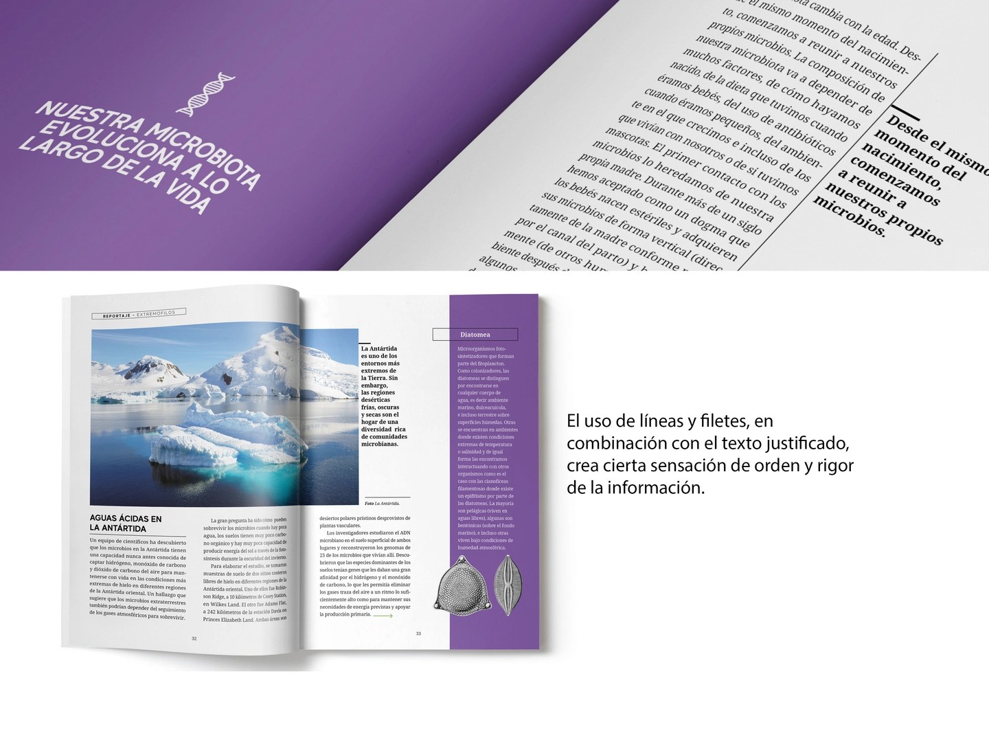 Revista Micros editorial