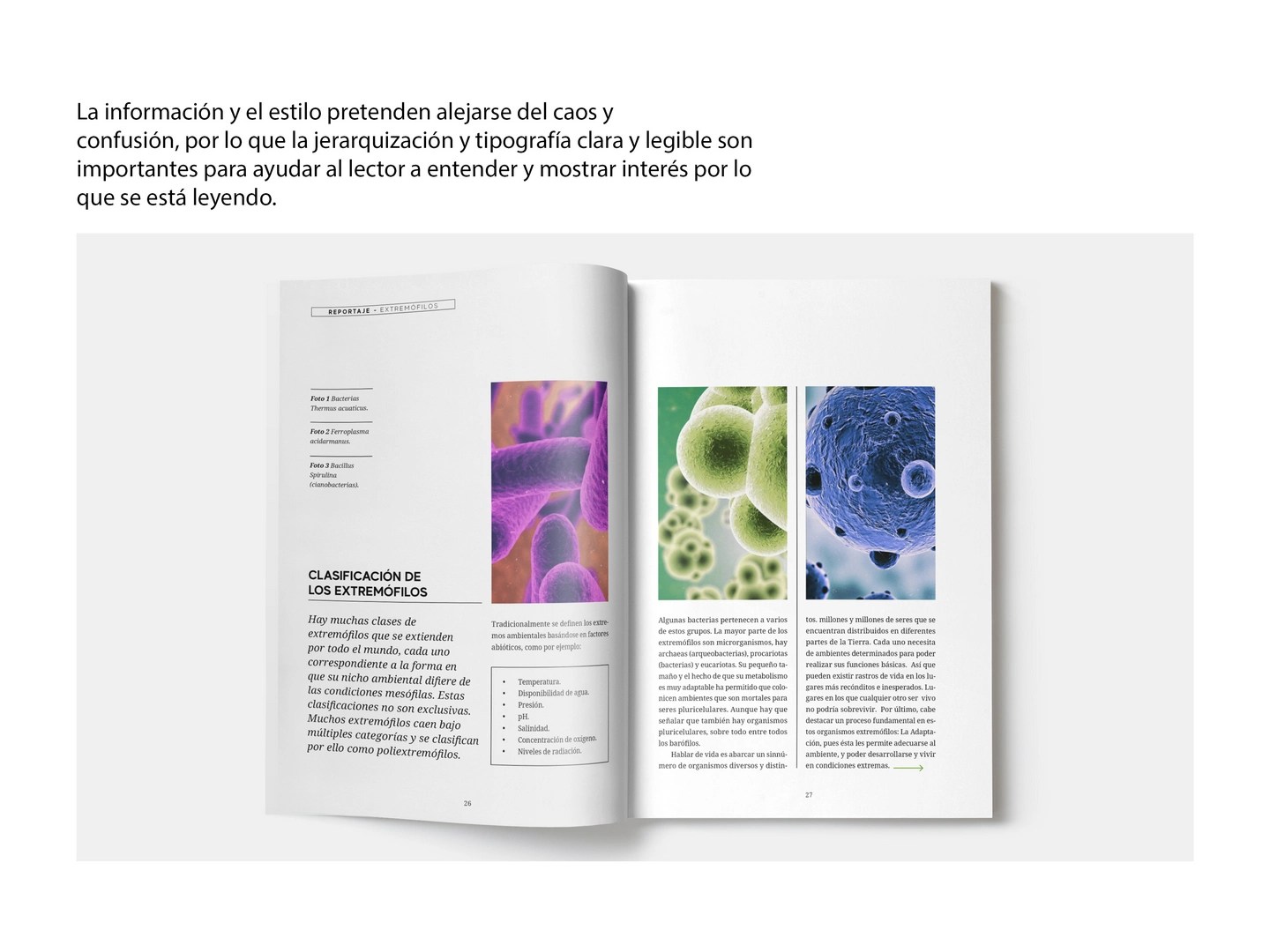 Revista Micros editorial
