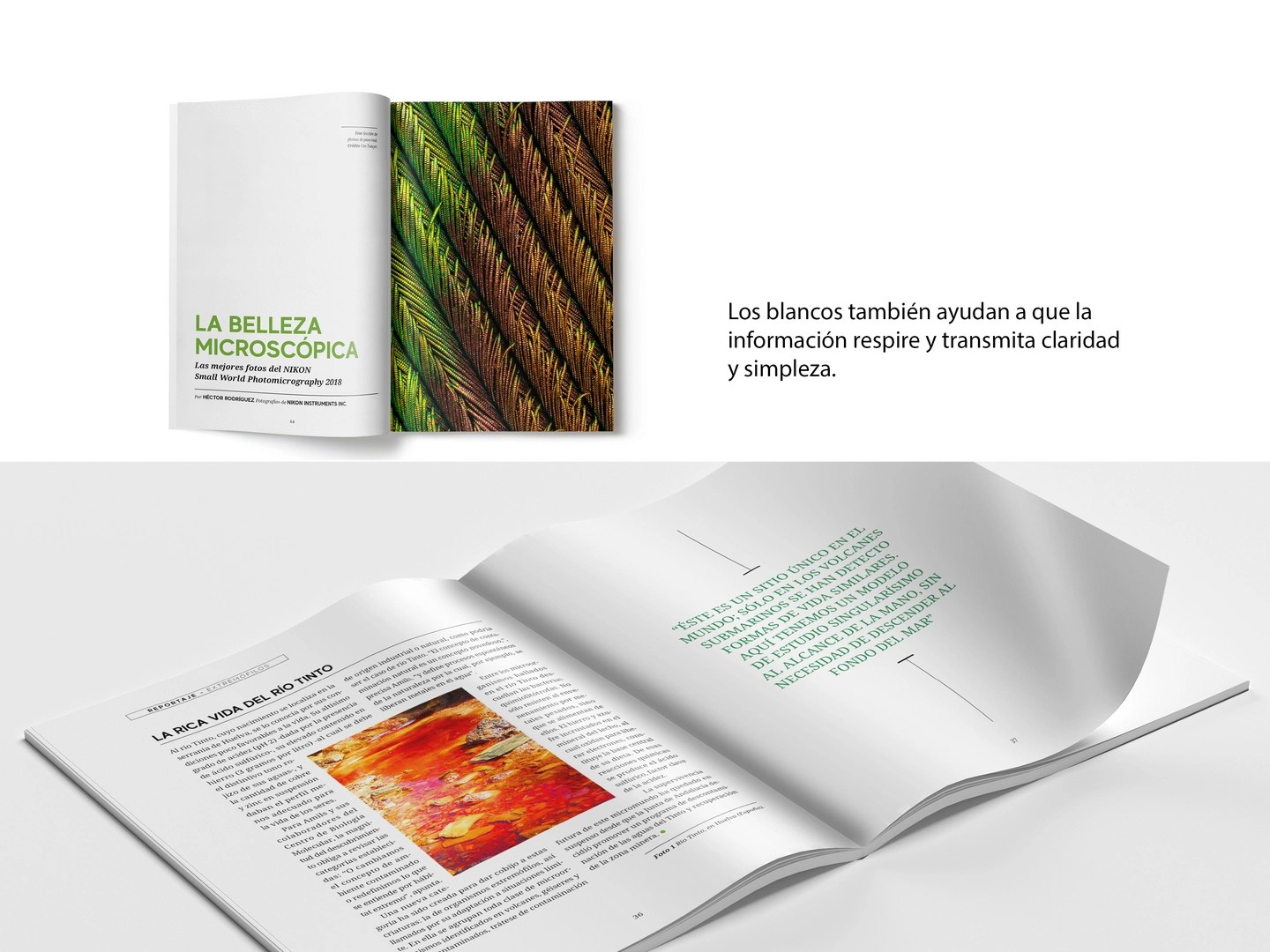 Revista Micros editorial