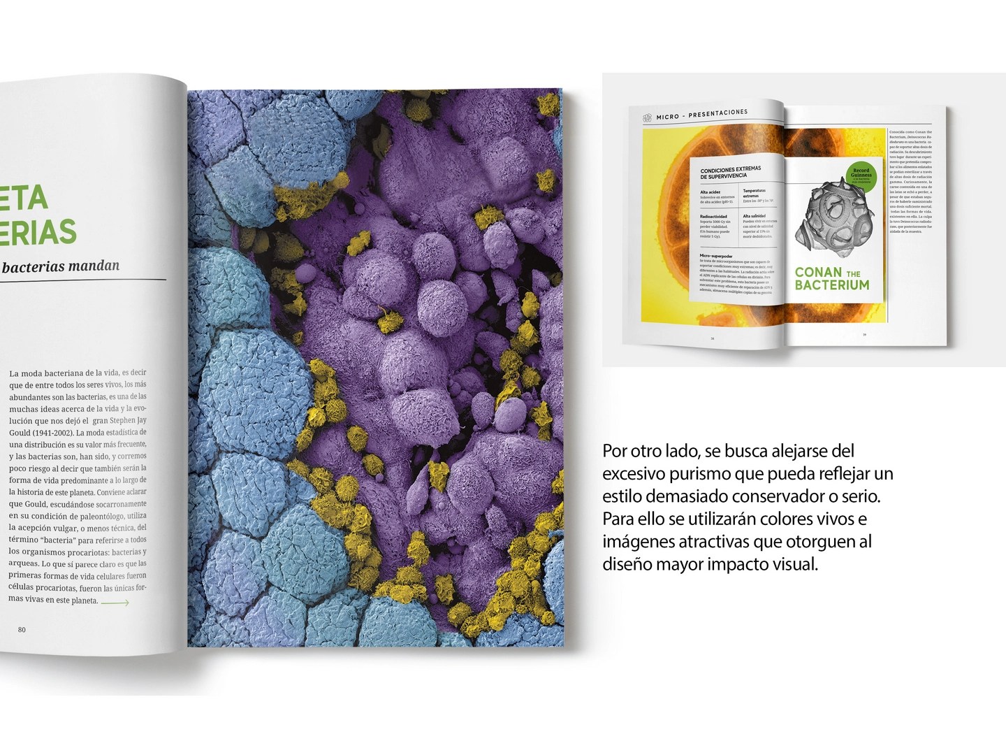 Revista Micros editorial