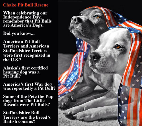 October Is National Pit Bull Awareness Month The Pet Bodega The Young-Williams Animal Center in Knoxville Tennessee is highlighting October as National PitBull Awareness Month with an adoption celebration.