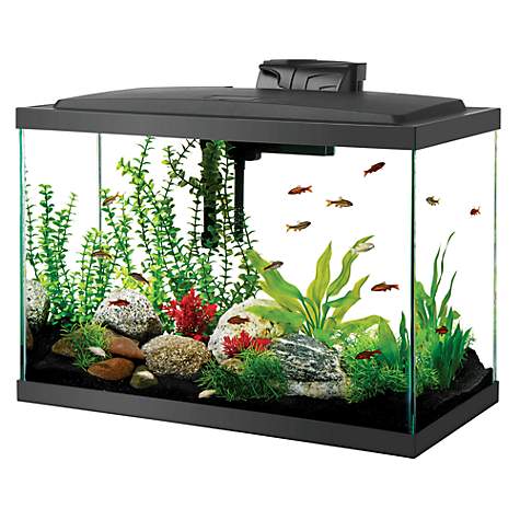 Best Aquarium Gravel For Plants Aquarium Gravel Planted Aquarium Plants 