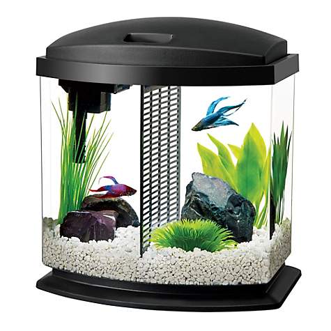 My Dennerle Nano Cube 10 Liter 2 5 Gallon After A Few Adjustments Fish Aquarium Decorations Betta Fish Tank Beta Fish Tank The conversion factor from Liters to Gallons is 026417205124156.