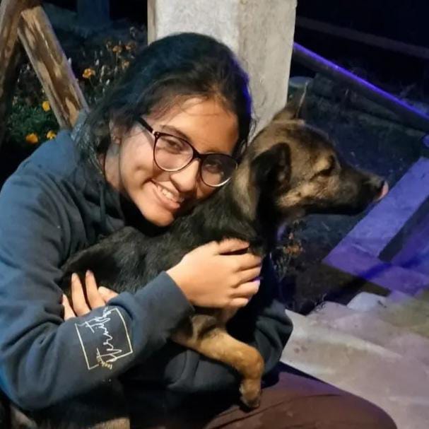 Lukaspieper Lukas Pieper Github - Download Artistic Landscape Texture | HD