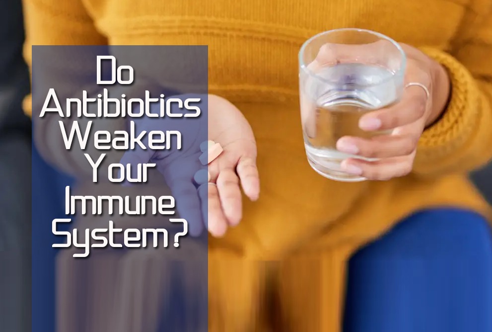 Do antibiotics weaken your immune system?