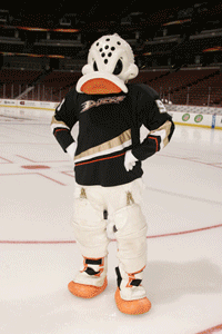 Philadelphia flyers applause gif by nhl. Mascot Madness: You Know Yours; But Do You Know Anyone Elseâs? | The