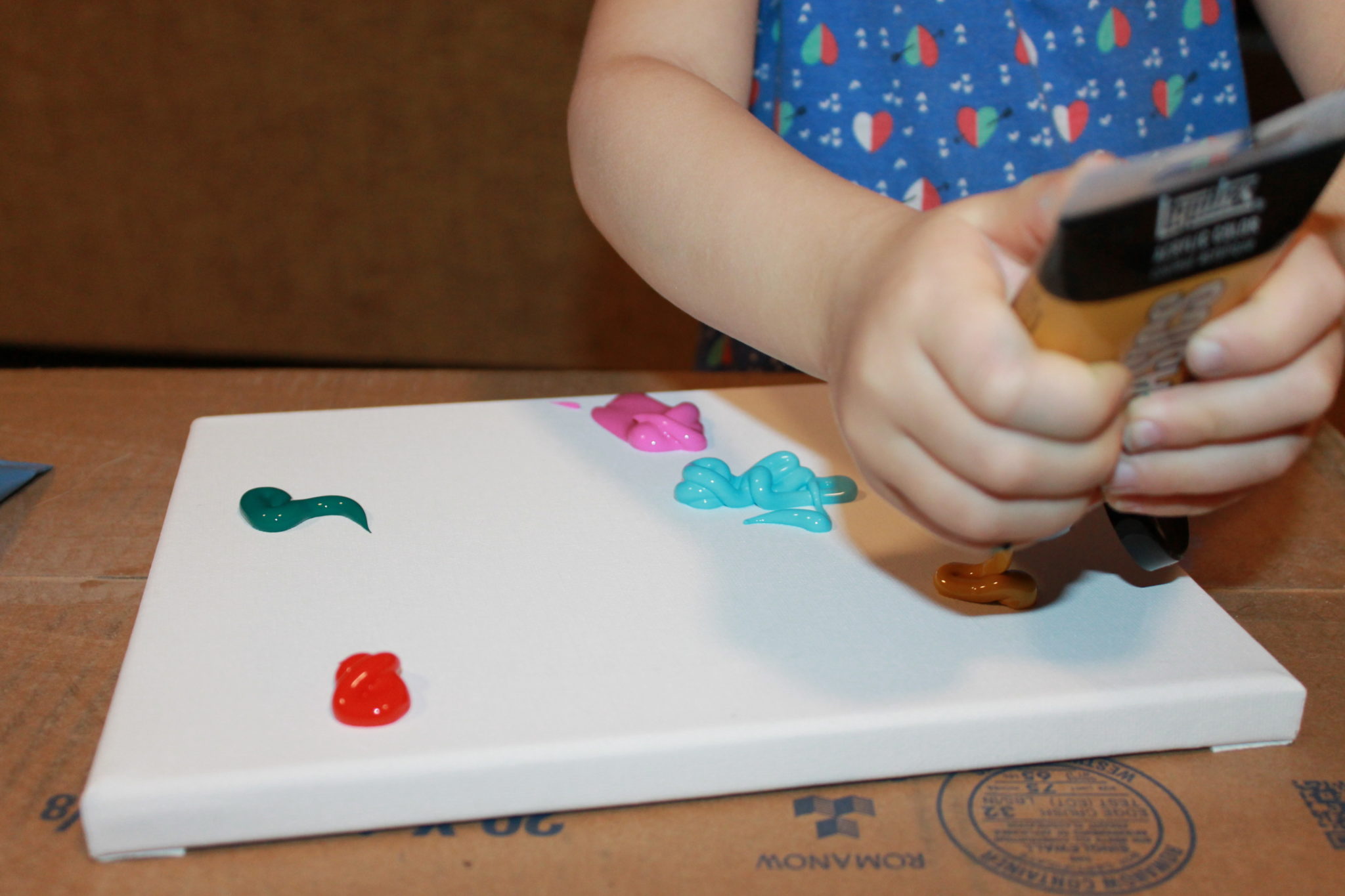 Saran Wrap Canvas Art The Pinterested Parent