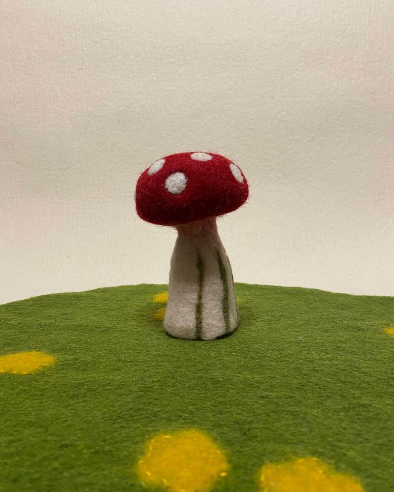 Brown Toadstool The Pixie Patch - Mountain Images - Elegant 8K Collection
