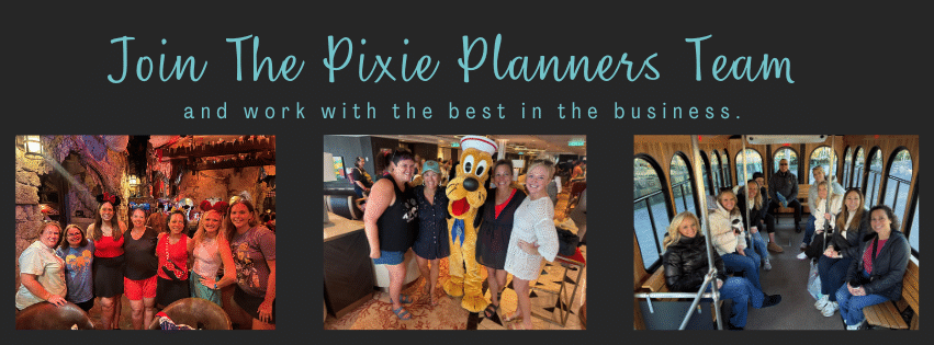 Join our Pixie Planner Team group photo