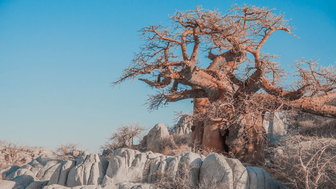 Thematic Significance for Writers