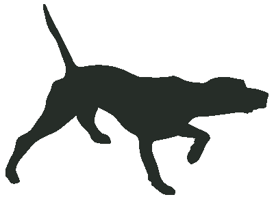 Pointer Profile Pets Thecountyoffice - Nature Designs - Incredible High Resolution Collection