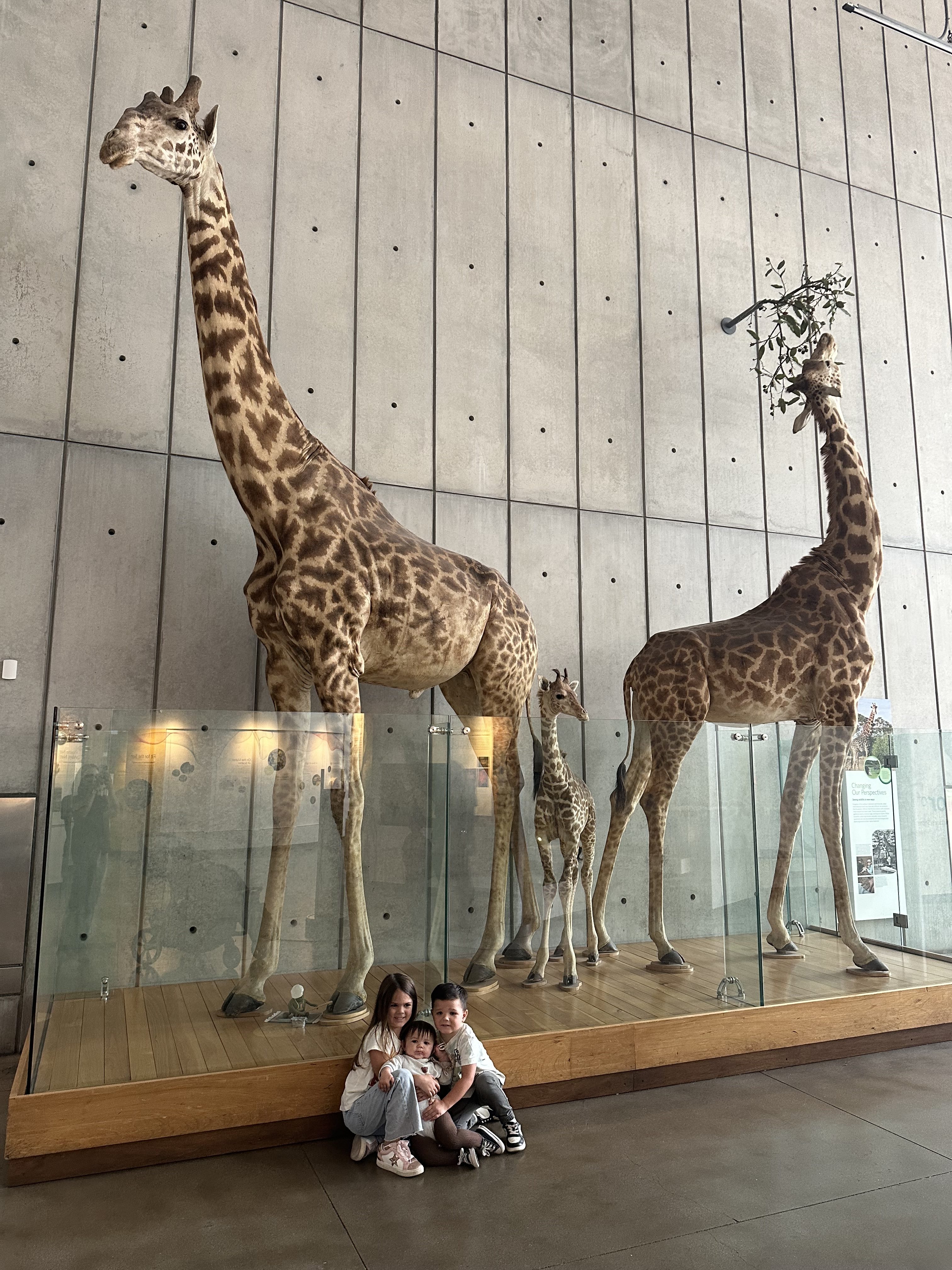 Our Favorite Stop on Our San Francisco Trip … With the Kids!!