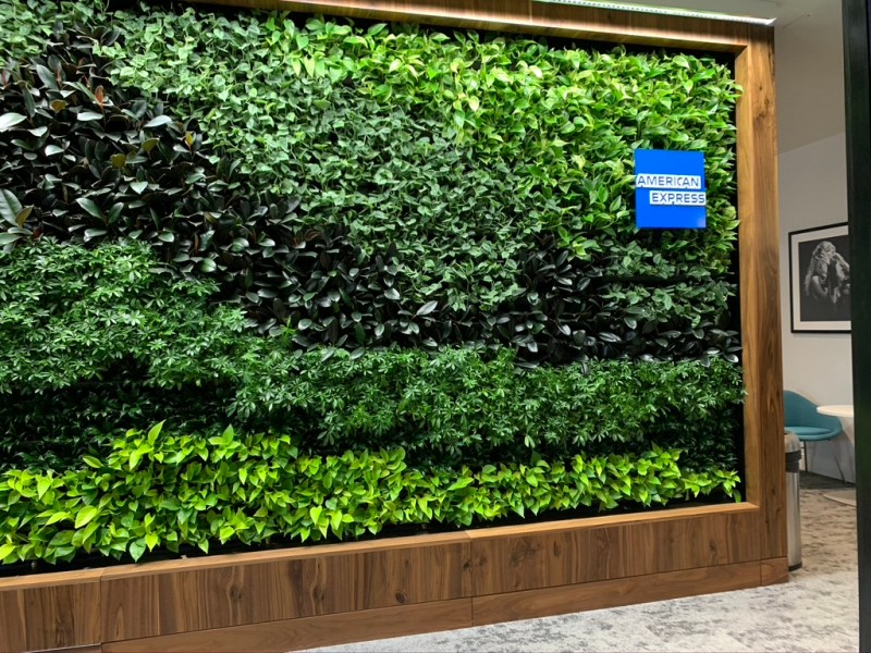 AmEx Centurion Lounge – Phoenix