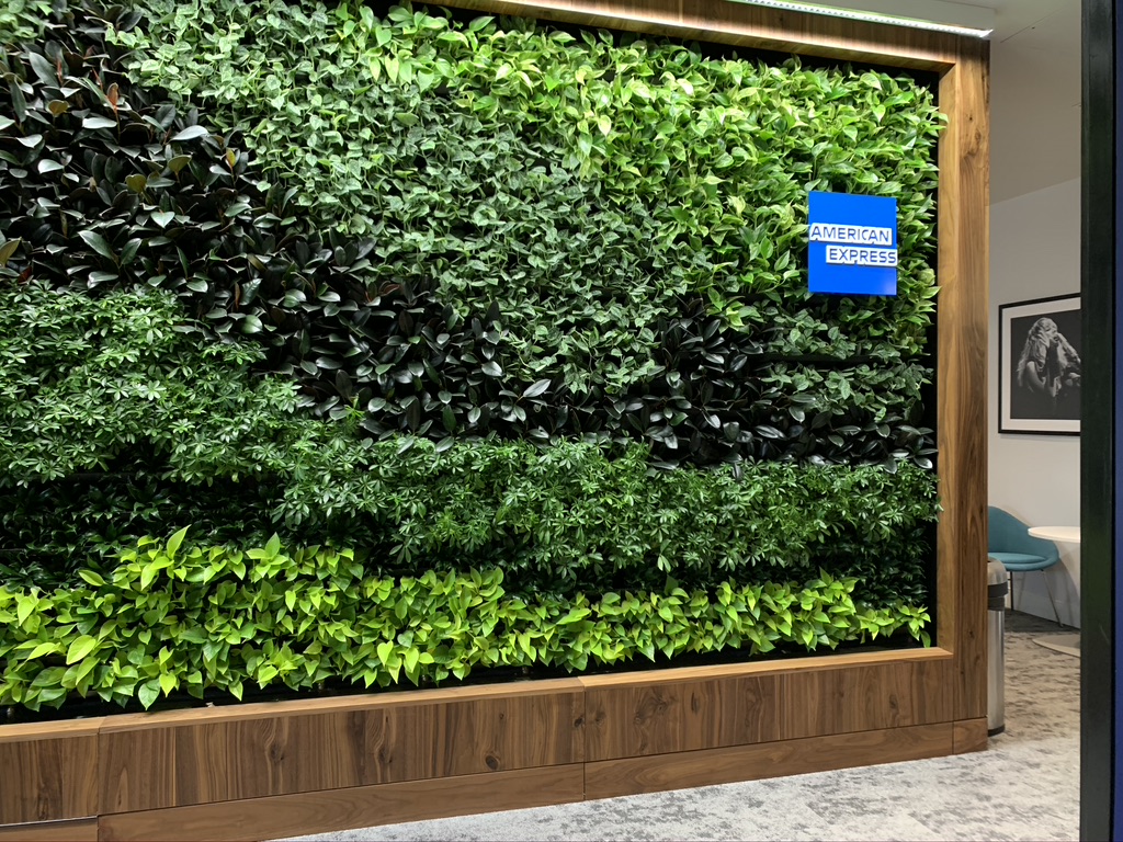 Amex Retention Offer