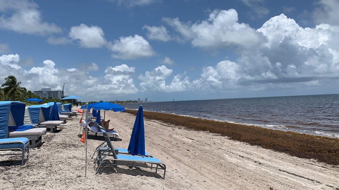 Beach - The Ritz Carlton Key Biscayne