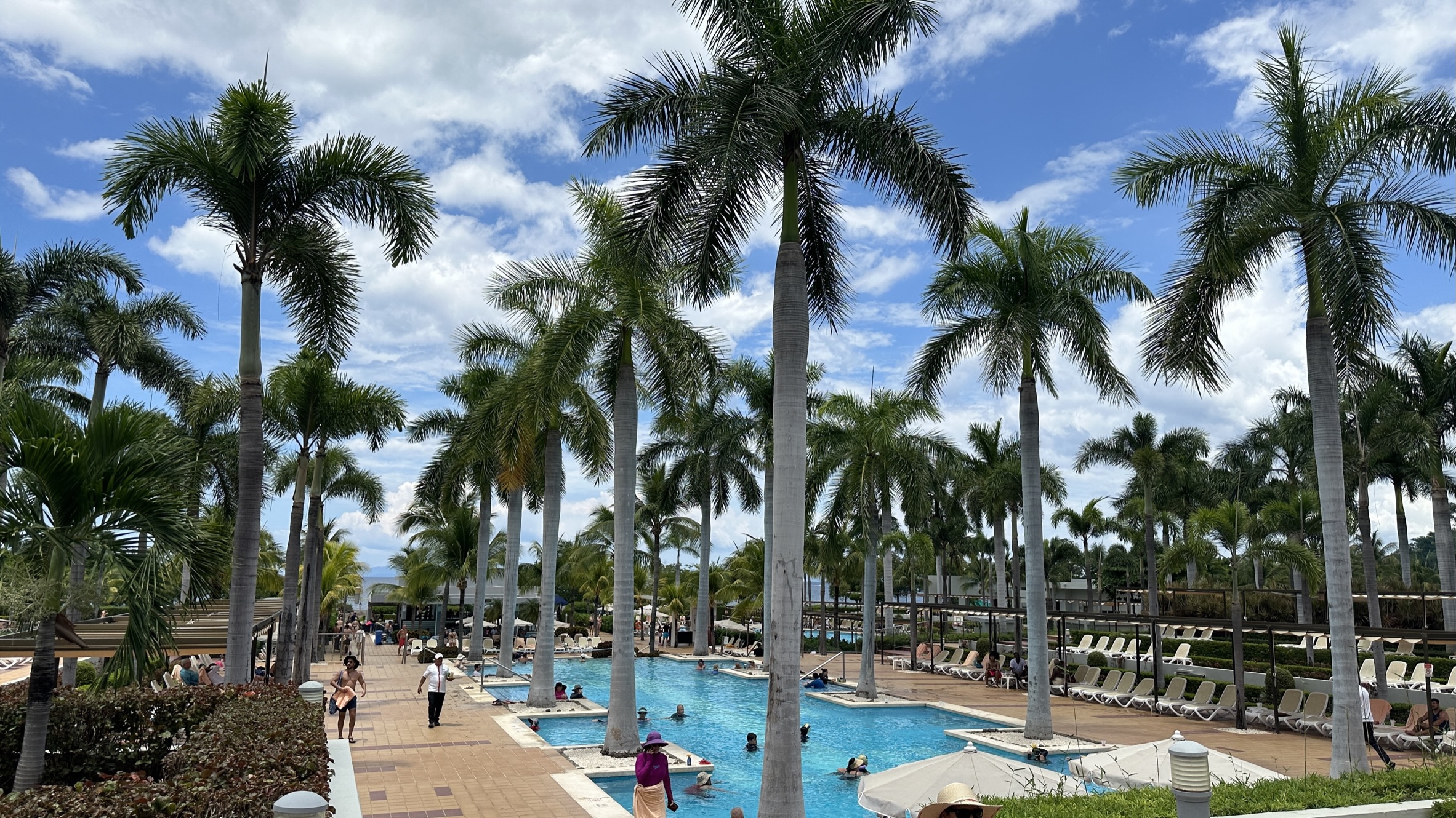 Swimming Pool at the hotel